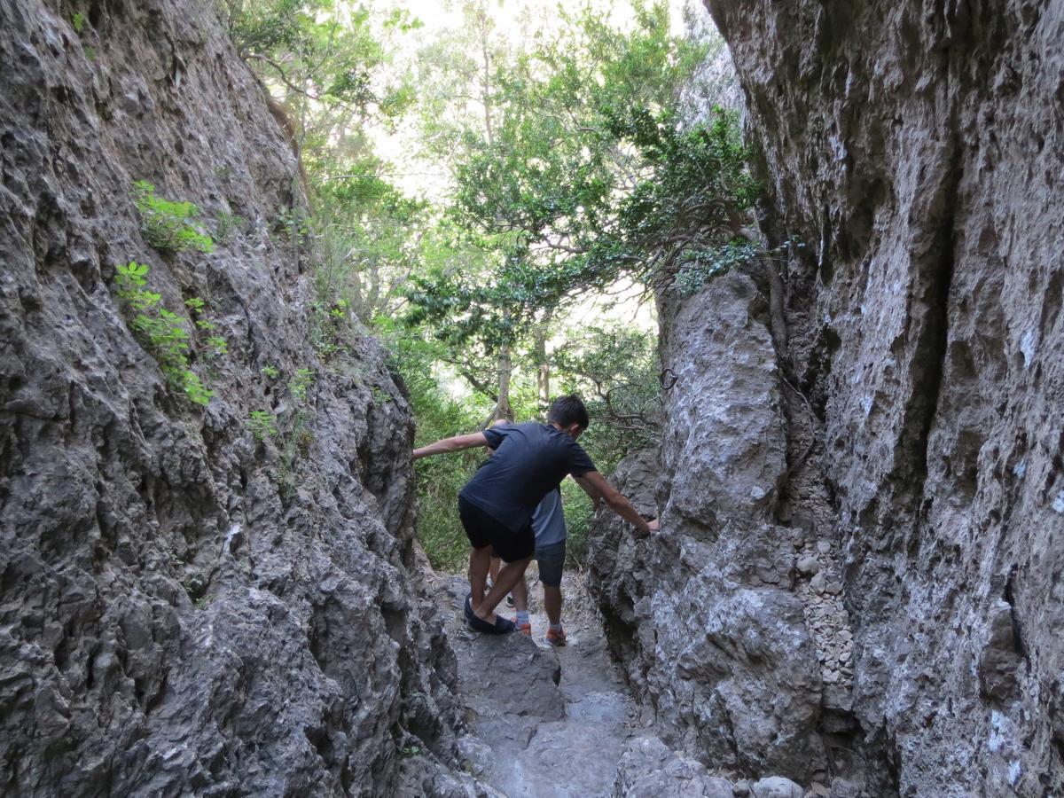 Les Hauts D'Issensac Causse-de-la-Selle Экстерьер фото
